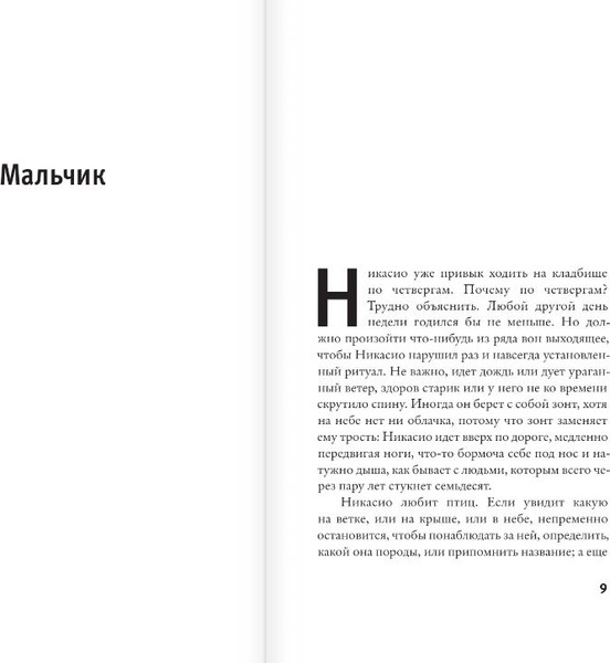 Изображение товара Книга АСТ Мальчик, твердая обложка (Арамбуру Фернандо)