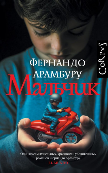 Изображение товара Книга АСТ Мальчик, твердая обложка (Арамбуру Фернандо)