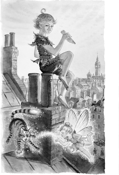 Изображение товара Книга АСТ Питер Пэн, твердая обложка (Барри Джеймс)