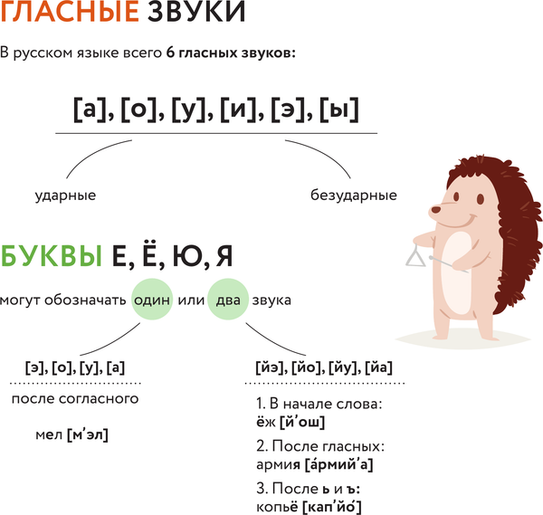 Изображение товара Комплект учебных плакатов АСТ Плакат-репетитор. Все правила русского языка под одной обложкой