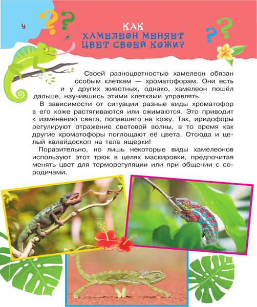 Изображение товара Энциклопедия АСТ Почему, когда и где, твердая обложка (Чупин Андрей)