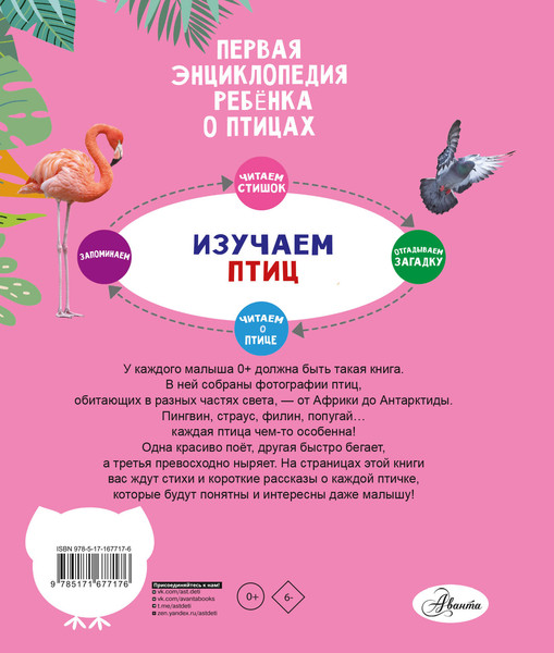 Изображение товара Энциклопедия АСТ Птицы, твердая обложка