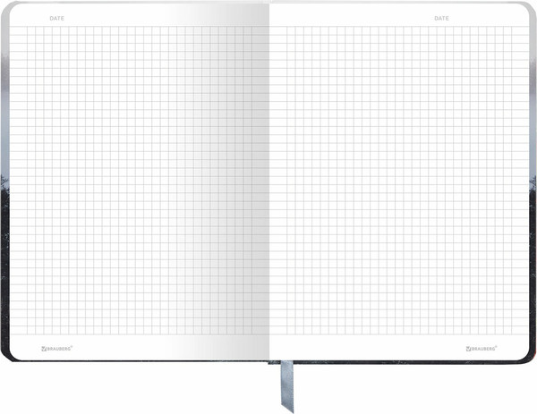 Изображение товара Ежедневник Brauberg 116315 (96л)