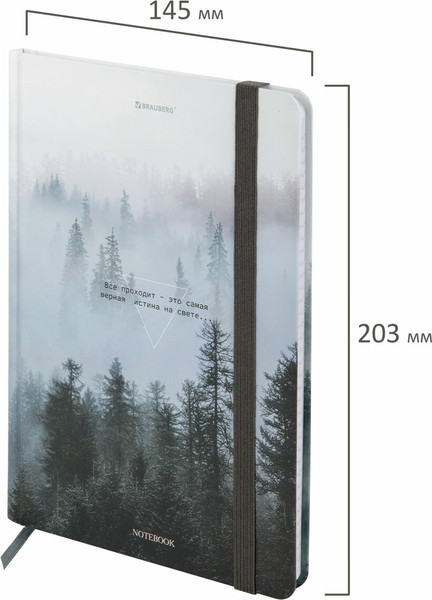 Изображение товара Ежедневник Brauberg 116315 (96л)