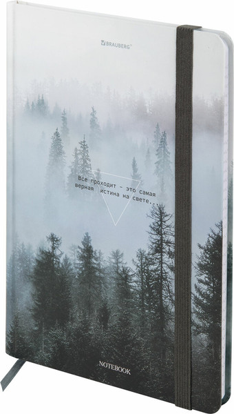 Изображение товара Ежедневник Brauberg 116315 (96л)