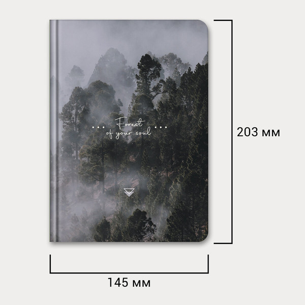 Изображение товара Ежедневник Brauberg 116287 (128л)