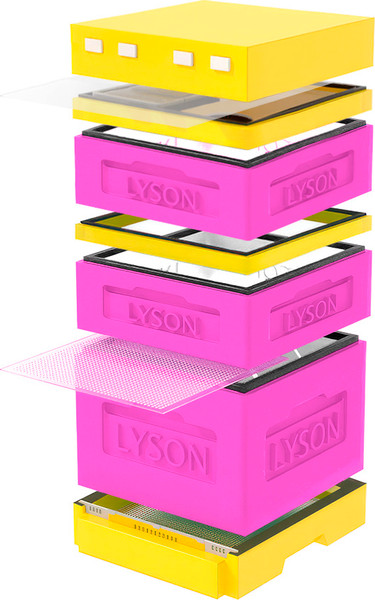 Изображение товара Улей Lyson Дадан на 12 рамок / K123PY (розовый/желтый)