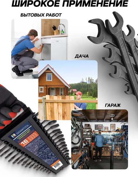 Изображение товара Набор ключей Sigmatool 5161MP Black (64 650)