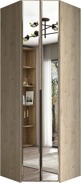 Изображение товара Шкаф-гармошка Евва Лайн ЛН-1U.820Х820(2Z) Угловой (гикори кингстон)