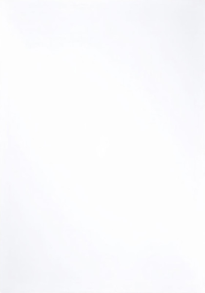 Изображение товара Потолочина для улья Lyson Для 6 рамочного улья / 3183 (прозрачный)