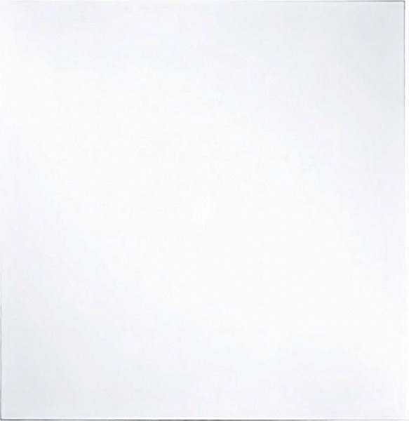 Изображение товара Потолочина для улья Lyson Для 12 рамочного улья / 3197_A (прозрачный)