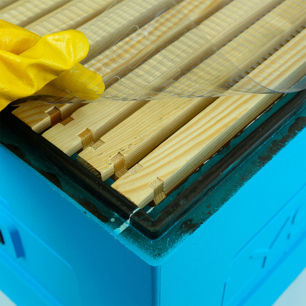 Изображение товара Решетка разделительная для улья Lyson Горизонтальная / 3195 (прозрачный)