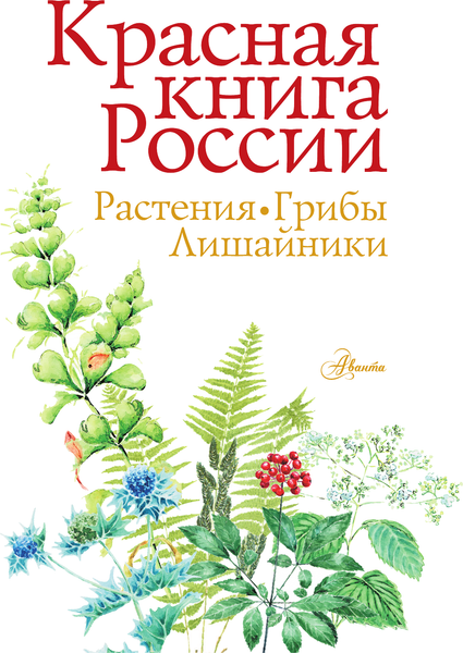 Изображение товара Энциклопедия АСТ Красная книга России. Растения Грибы Лишайники, твердая обложка (Пескова Ирина)