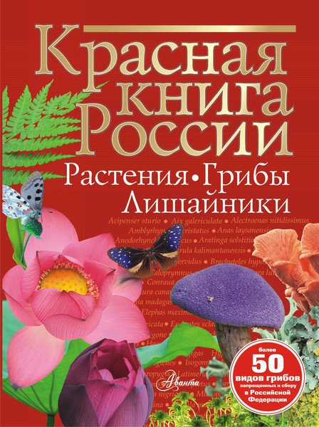 Изображение товара Энциклопедия АСТ Красная книга России. Растения Грибы Лишайники, твердая обложка (Пескова Ирина)