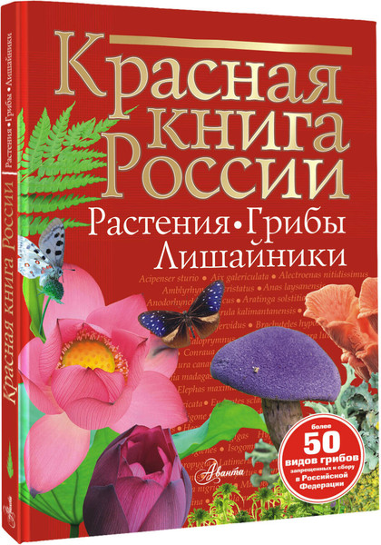 Изображение товара Энциклопедия АСТ Красная книга России. Растения Грибы Лишайники, твердая обложка (Пескова Ирина)