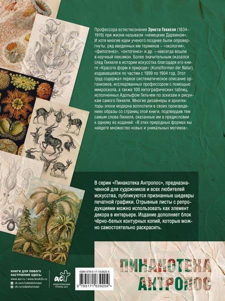 Изображение товара Книга АСТ Красота форм в природе. Альбом старинных иллюстраций (Геккель Эрнст, мягкая обложка)