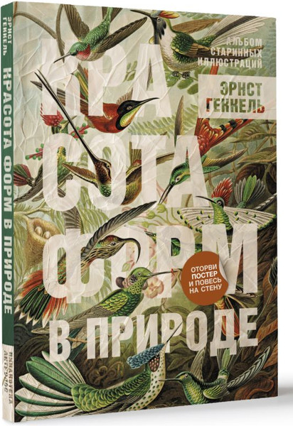 Изображение товара Книга АСТ Красота форм в природе. Альбом старинных иллюстраций (Геккель Эрнст, мягкая обложка)