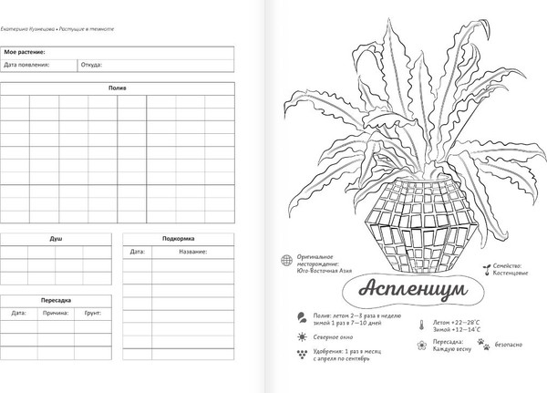 Изображение товара Раскраска АСТ Раскраска-трекер. Растущие в темноте, мягкая обложка