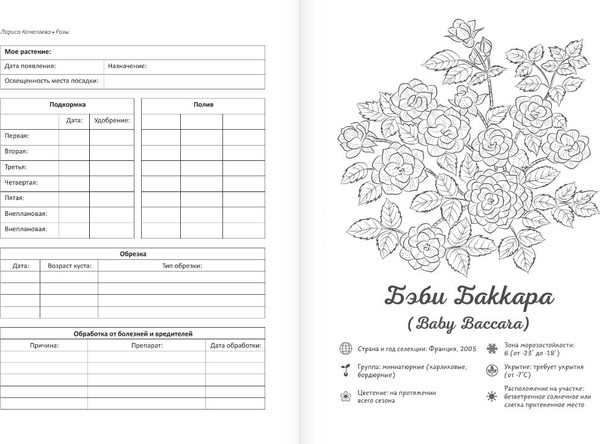 Изображение товара Раскраска АСТ Раскраска-трекер. Розы, мягкая обложка