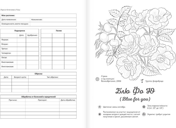 Изображение товара Раскраска АСТ Раскраска-трекер. Розы, мягкая обложка