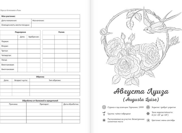 Изображение товара Раскраска АСТ Раскраска-трекер. Розы, мягкая обложка