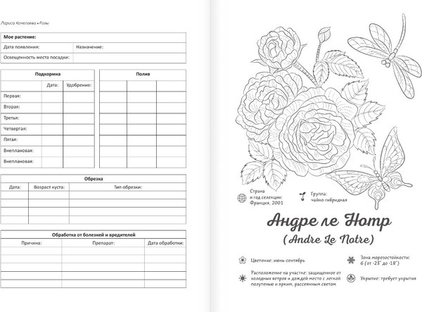 Изображение товара Раскраска АСТ Раскраска-трекер. Розы, мягкая обложка