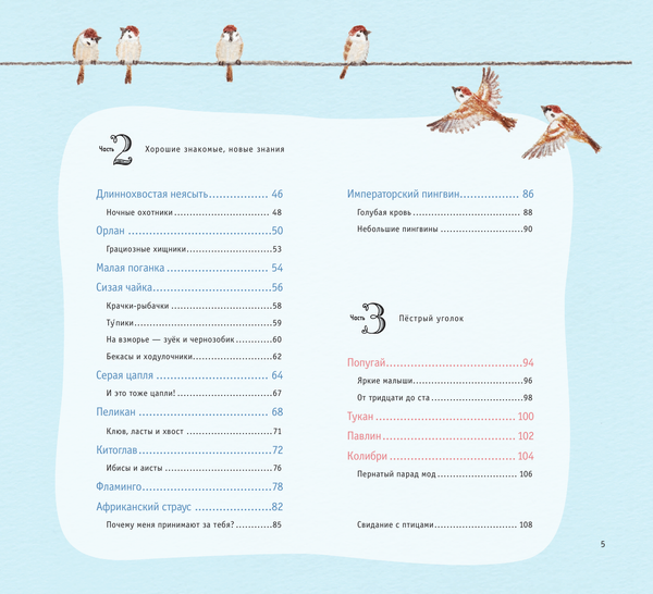 Изображение товара Книга АСТ Рисуем милых птиц, твердая обложка (Акикуса Аи)