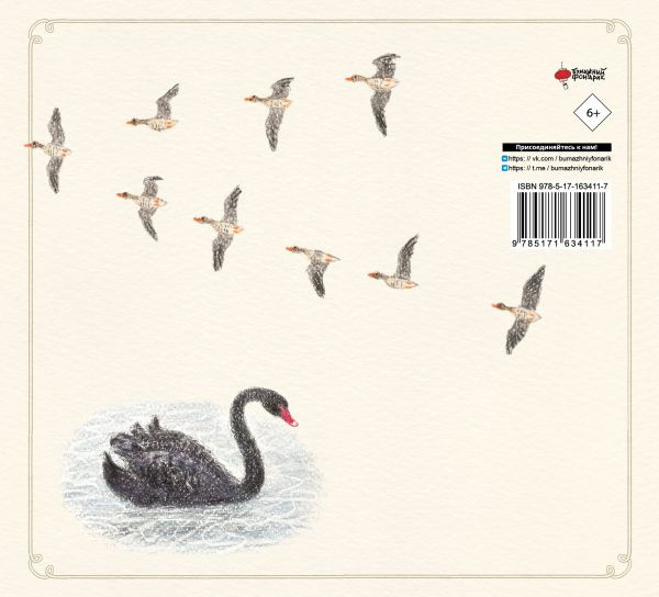 Изображение товара Книга АСТ Рисуем милых птиц, твердая обложка (Акикуса Аи)