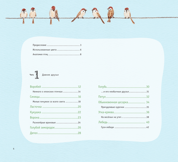 Изображение товара Книга АСТ Рисуем милых птиц, твердая обложка (Акикуса Аи)