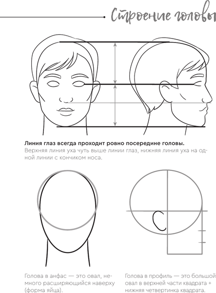 Изображение товара Книга АСТ Рисуем человека, мягкая обложка