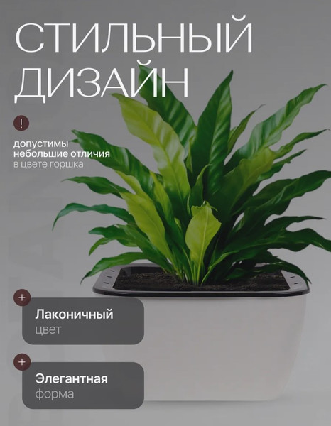 Изображение товара Кашпо BOTANICA Квадрат 16x16x8.5см с автополивом (белый)