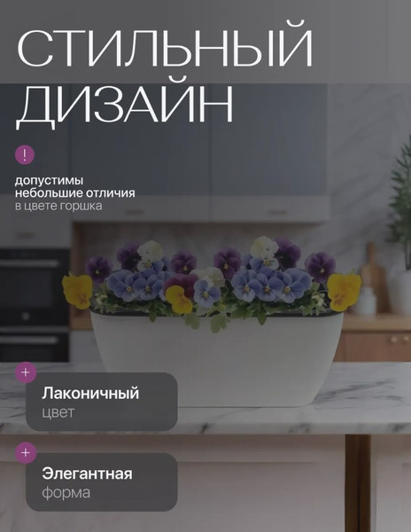 Изображение товара Кашпо BOTANICA Квадрат 18x9.5x8см с автополивом (белый)