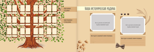 Изображение товара Родословная книга АСТ Память нашего рода / 9785171636296