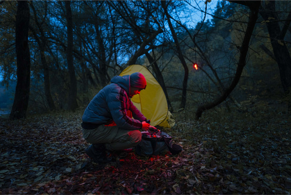 Изображение товара Фонарь Armytek Crystal Pro UV Red / F10301RUV