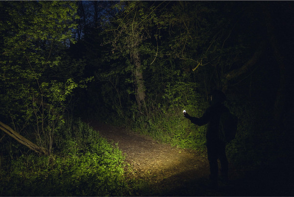 Изображение товара Фонарь Armytek Crystal Pro UV Red / F10301RUV