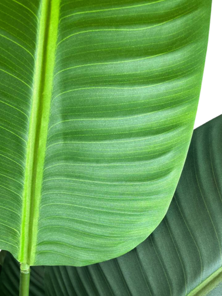 Изображение товара Искусственное растение GreenPark Дерево райская птица Стрелиция королевская / GP-002/160