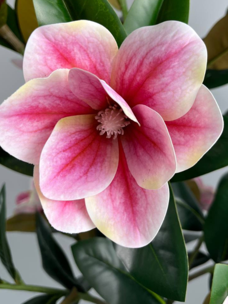 Изображение товара Искусственное растение GreenPark Дерево магнолии / GP-017/160