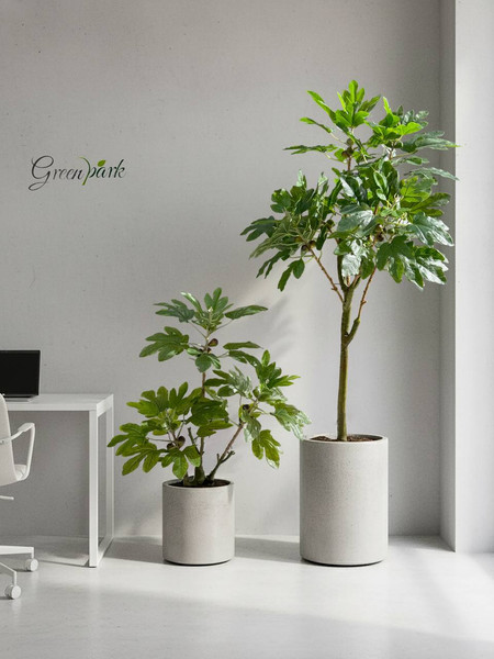 Изображение товара Искусственное растение GreenPark Фиговое дерево Смоковница / GP-033/160