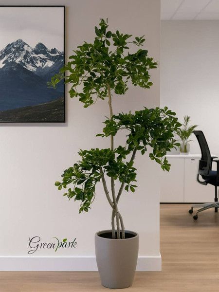 Изображение товара Искусственное растение GreenPark Шеффлера древовидная Арборикола / GP-057/180