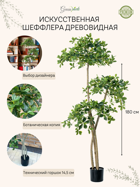 Изображение товара Искусственное растение GreenPark Шеффлера древовидная Арборикола / GP-057/180