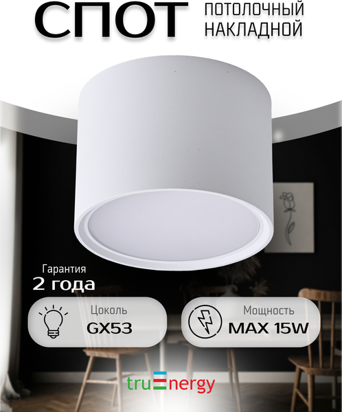 Изображение товара Точечный светильник Truenergy 21004 (с лампой LED-GX53-VC)