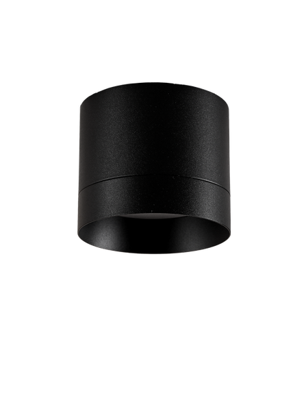 Изображение товара Точечный светильник Truenergy 21026 (с лампой 604-064)