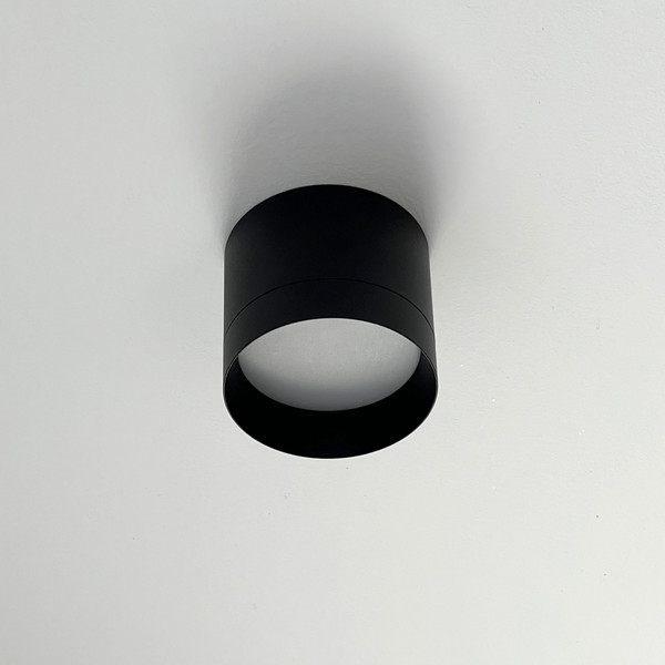 Изображение товара Точечный светильник Truenergy 21026 (с лампой 604-064)