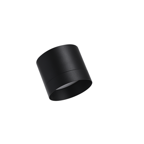 Изображение товара Точечный светильник Truenergy 21026 (с лампой 604-064)