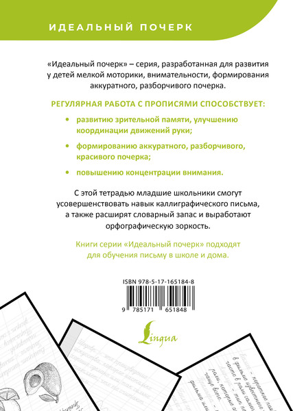 Изображение товара Пропись АСТ Русский язык. Учимся писать слова-заимствования, мягкая обложка