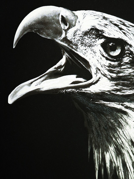 Изображение товара Тетрадь предметная Проф-Пресс Немецкий Язык Blacksoft / 48-1737 (48л, клетка)