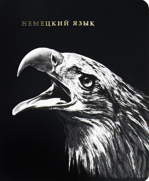 Изображение товара Тетрадь предметная Проф-Пресс Немецкий Язык Blacksoft / 48-1737 (48л, клетка)