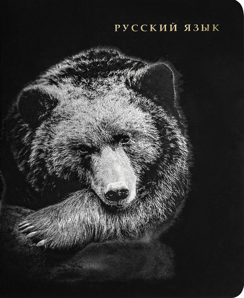 Изображение товара Тетрадь предметная Проф-Пресс Русский Язык Blacksoft / 48-1743 (48л, линейка)