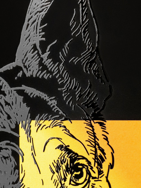 Изображение товара Тетрадь предметная Проф-Пресс Немецкий язык Свет знаний / Т48-1526 (48л, клетка)