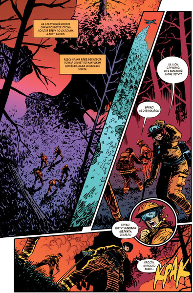 Изображение товара Комикс Комильфо Темные места. Лесной пожар, мягкая обложка (Снайдер Скотт)